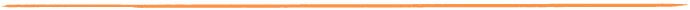 Thin orange accent line with a textured design
